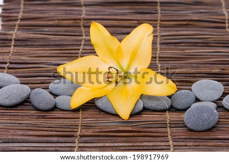 Yellow lily with gray stones on mat