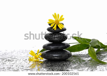 Stacked of black stones and yellow with bamboo leaf on wet