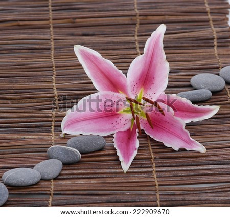 Pink lily with row of stones on mat