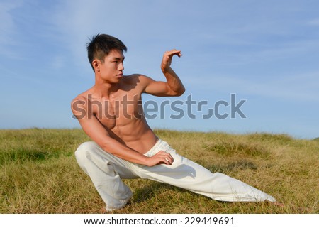 very fit male model with muscles in chinese do kung fu - taichi outdoor