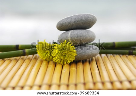 Stones and bamboo grove with flower on mat , zen concept