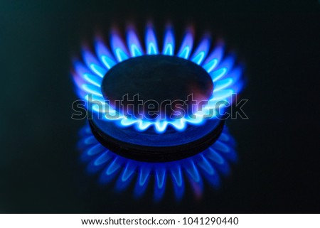 Burning gas, gas stove burner, hob in the kitchen.