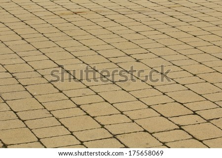 Tiled pavement in a pedestrian area