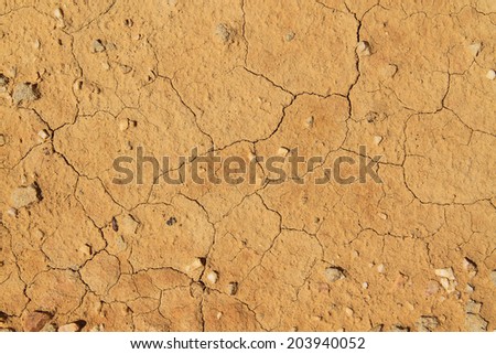 Cracked red dirt soil field