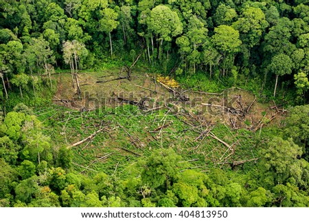 forest destruction with rainbow in thailand form Aerial view