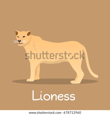Download Lioness Hunting Wallpaper 1920x1080 | Wallpoper #446848