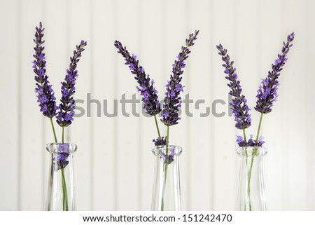 Three small vases with lavender on a white table