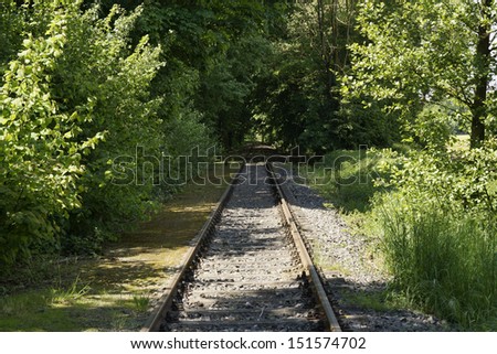 Railway track in a forest