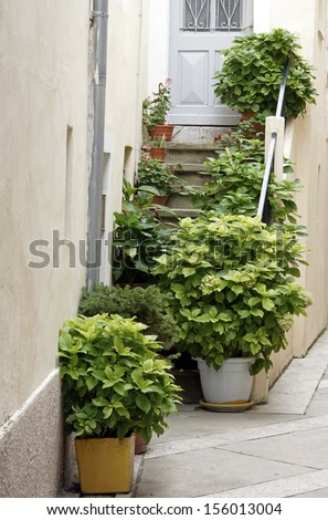 Plants in pots on the stairs of a house
