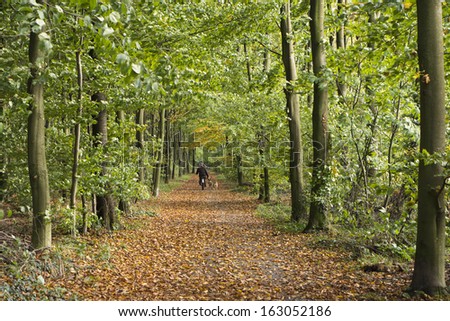 Man walking the dog in the autumn forest