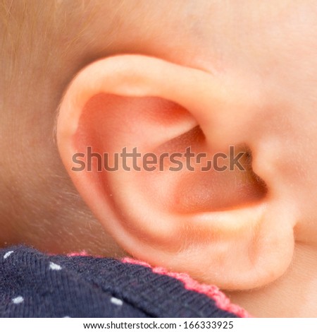 Closeup of the ear of a baby