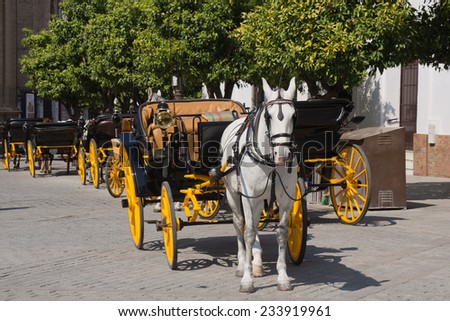 Row of horse carriages for tourists in Seville, Spain