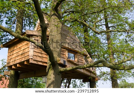 Living in a tree house surrounded by branches in the netherlands