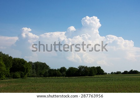 Storm on green fields with cumulonimbus on blue sky