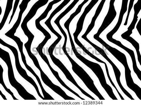 Black And White Zebra Pattern. stock vector : Abstract zebra