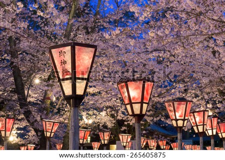 Lantern in Sakura Festival at Mishima Shrine, Shizuoka, Japan. The lantern reads \