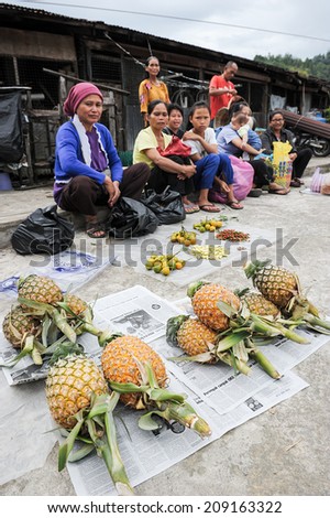 KIULU, SABAH MALAYSIA. August 5, 2014 : A local selling pineapple at a local market called \'Tamu\' in interior of Sabah Malaysia.
