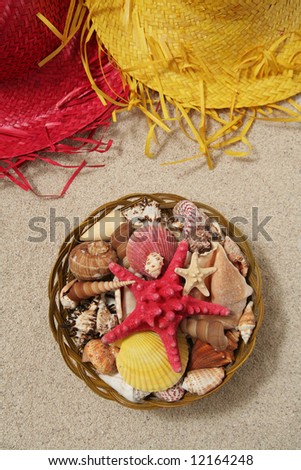 Seashells in the basket and straw hat on the sand