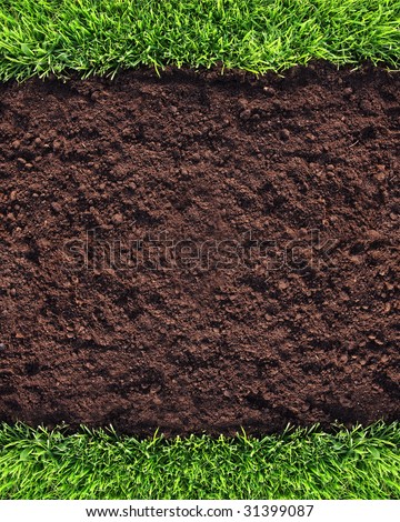 Healthy grass and soil background similar available in my portfolio