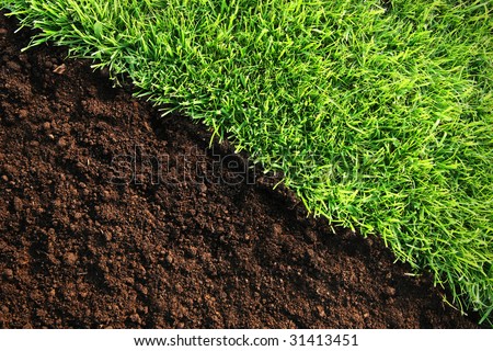 Healthy grass and soil background