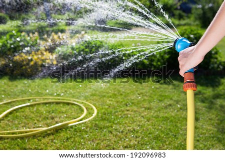 Woman\'s hand with garden hose watering plants, gardening concept