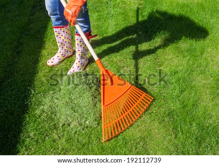 Woman raking freshly cut grass in the garden