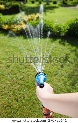 Woman\'s hand with hose sprinkle watering plants in the garden