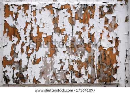 Abstract texture with effect dabs of a brush white oil paint on old wooden boards