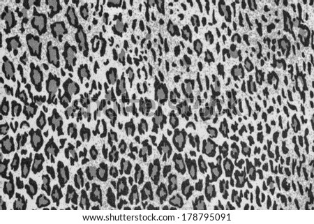 monochrome texture of fabric with a pattern of a leopard for abstract backgrounds and for wallpaper