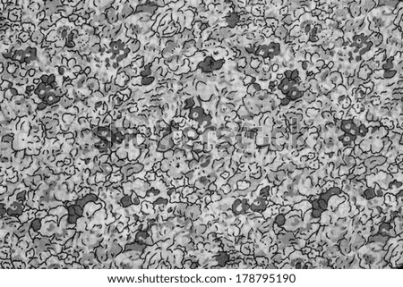 texture of silk fabric with monochrome drawing for abstract backgrounds and for wallpaper