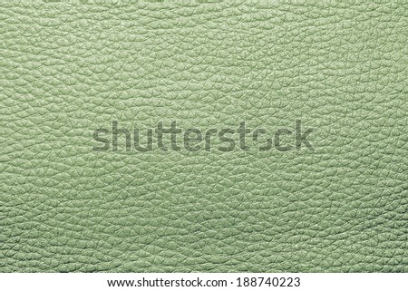 abstract background from the painted texture of skin and leather fabric green color
