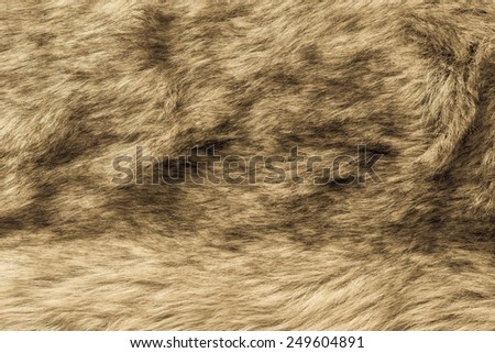 abstract fluffy texture of shaggy soft old fur fabric for pure backgrounds