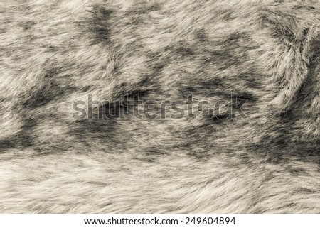 abstract fluffy texture of shaggy soft beige fur fabric for pure backgrounds