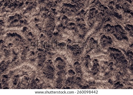 abstract texture of brown fur fabric with ringlets and curls for background surfaces and for wallpaper
