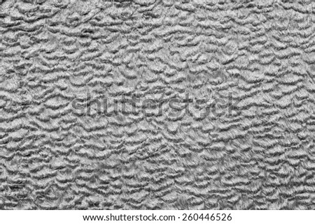 abstract texture of gray color of short-haired fur fabric with wavy curls for empty backgrounds