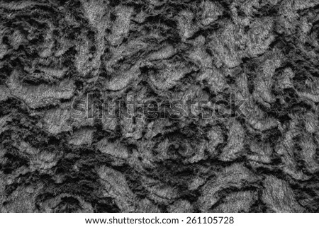 abstract texture of black fur fabric with curls for background surfaces and for wallpaper
