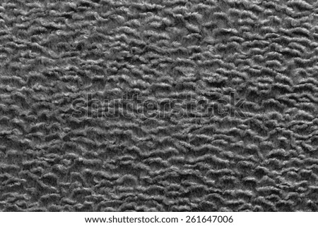 abstract texture of graphitic color of short-haired fur fabric with wavy curls for empty backgrounds
