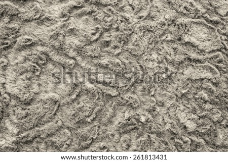 texture of abstract beige-haired fur fabric with ringlets and curls for background surfaces and for wallpaper