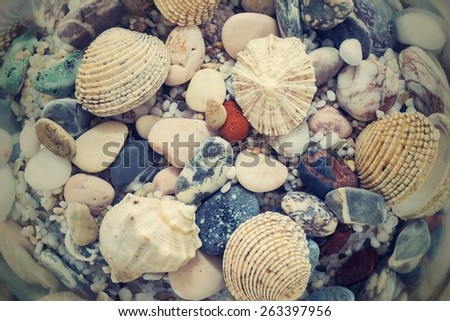 the digital photo with a retro effect of the underwater world of a seabed closeup with various cockleshells and stones in sunlight beams
