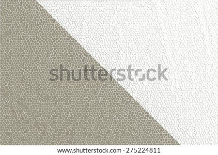 abstract symmetric monochrome background from two diagonal geometrical figures of beige and white color and mesh texture