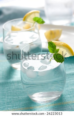 glass of water with lemon and mint. shallow dof