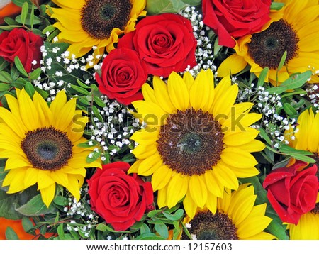 beautiful yellow Sunflower and red roses
