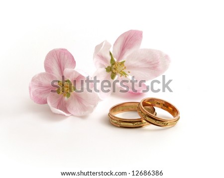 stock photo female and male gold wedding rings