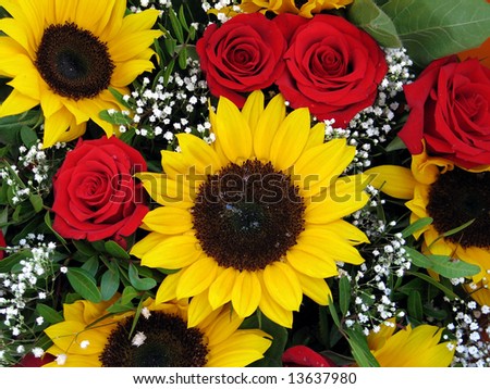 stock photo : beautiful flower - yellow Sunflower and red roses