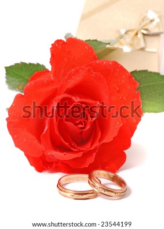 stock photo red rose and wedding bands isolated on white