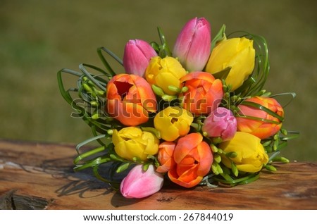 Bouquet of tulips , bunch of flowers