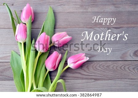 Mothers day card with tulips. Pink tulips for mother day. Mothers day background and mother day flower. Mothersday gift.