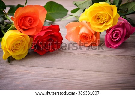 Rose, Bunch of roses. Bouquet of roses. Rose flower. Roses on wood background.  Beautiful roses, roses represent for love.