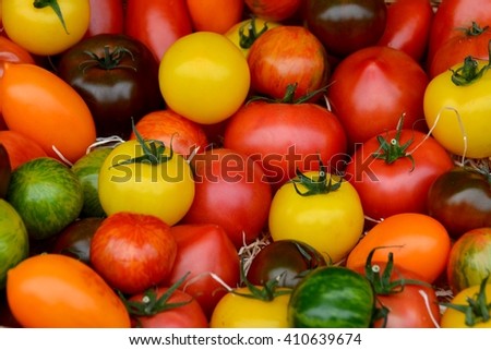Tomatoes. Tomatoes an market. Colorful tomatoes, red tomatoes, yellow tomatoes, orange tomatoes, green tomatoes. Tomatoes background. Colour
tomatoes background.