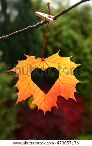 Autumn leaves. Fall leaves. Autumn leaf with heart. Autumn love.